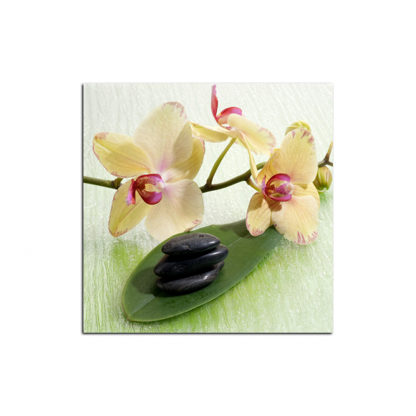 Obraz na plátně - Květy orchideje - čtverec